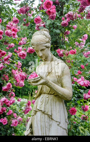 Dekorative rose (Rosa 'Parade'), Sorte Parade mit Skulptur einer Frau Stockfoto