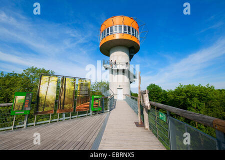 Überdachunggehweg mit Turm, Deutschland, Hainich Nationalpark anzeigen Stockfoto