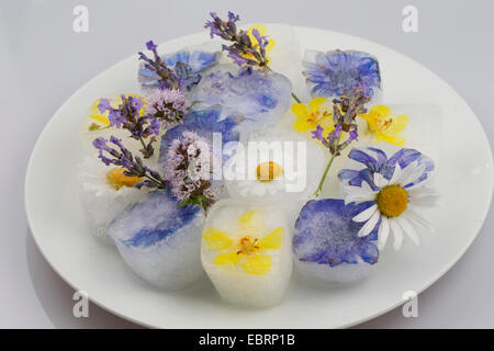 Blüten-Eiswürfel, gewürzt mit essbaren Blüten Stockfoto