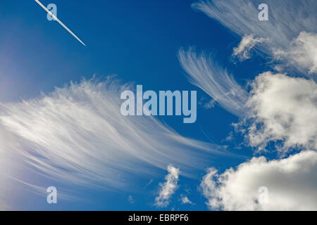 Cirrus und Cumulus Wolken, Schweden, Gotland Stockfoto