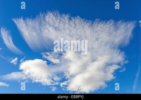 Cirrus-Wolken, Schweden, Gotland Stockfoto