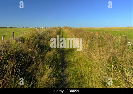 Pfad im Schutzgebiet Hooge Berg von typischen Rasen gewachsen Wälle, Niederlande, Texel, Hooge Berg gesäumt Stockfoto