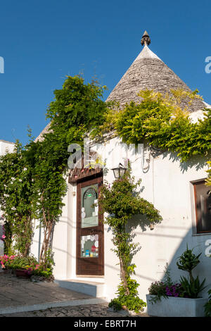 Haus Trullo, Alberobello Trulli Bezirk, Apulien, Italien Stockfoto