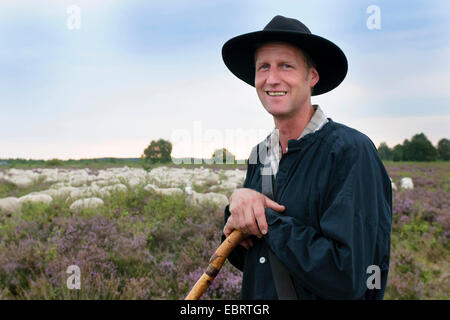 Weißen hornlosen Heideschaf (Ovis Ammon F. Aries), Schäfer mit Herde in die Heide in Heide, Deutschland, Niedersachsen, Diepholzer Moorniederung Stockfoto