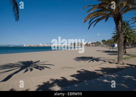 Leere Strandszene entlang der katalanischen Küste Spaniens mit Rosen-Resort im Hintergrund und Palmen, die lange Schatten werfen Stockfoto