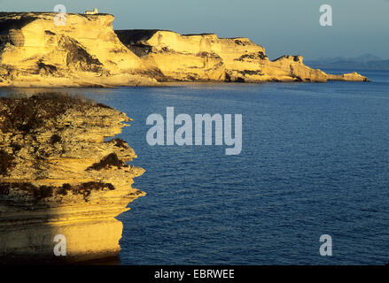 Leuchtturm auf dem Felsen namens Zucker und Capo Pertusato gesehen von Bonifacio, Frankreich, Korsika, Bonifacio Stockfoto