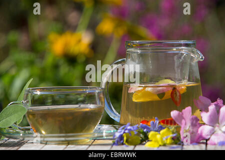 frische Blüten Tee, Deutschland Stockfoto