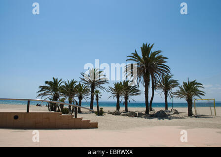 Kleine Palmengruppe am Strand mit Meer und hellblauem Himmel im Hintergrund und im Vordergrund der Promenade in der Nähe des Ferienortes Roses in Spanien Stockfoto