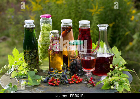 verschiedene Selfmeade Schnaps aus wilden Früchten Stockfoto