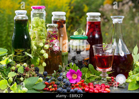 verschiedene Selfmeade Schnaps aus wilden Früchten Stockfoto