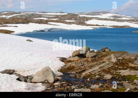 Landschaft bei den Jotunheimen Nationalpark, Norwegen, Jotunheimen Nationalpark Stockfoto