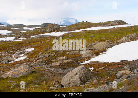 Landschaft bei den Jotunheimen Nationalpark, Norwegen, Jotunheimen Nationalpark Stockfoto