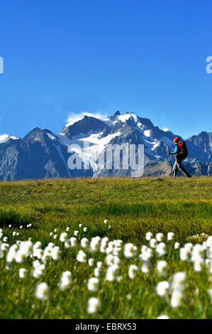 Wanderer-Frau in das Massiv des Cerces, Nassiv des Ecrins im Hintergrund, Briancon Valloire, Hautes-Alpes, Savoie, Frankreich Stockfoto