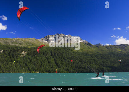 Kitesurfer am Silvaplanersee am Piz Corvatsch, Schweiz, Graubünden, Engadin Stockfoto