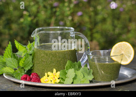 Green Smoothie gemacht von Brennnessel und Löwenzahn Stockfoto