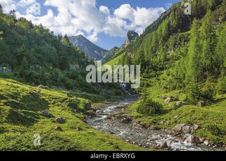 Blick vom Tal Kaisertal zum Gebirgsbach Kaiserbach, Kaiserstein Spitze Berg im Hintergrund, Österreich, Tirol, Lechtaler Alpen, Kaisertal Stockfoto