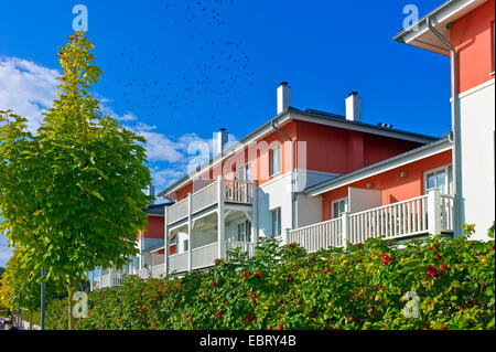 Gästehäuser, Deutschland, Mecklenburg-Vorpommern, Nordwestmecklenburg, Boltenhagen Tarnewitz Stockfoto