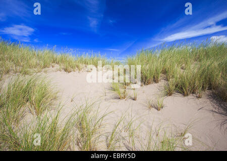 Sanddünen im Sandwood Bay an der nördlichen Küste von Schottland, Vereinigtes Königreich, Schottland, Sutherland Stockfoto