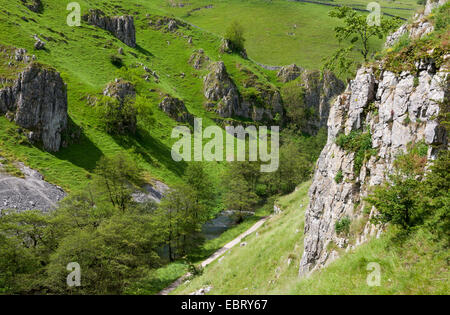 Kalkfelsen in der dramatischen Landschaft des Wolfscote Dale im Peak District. Ein schöner Sommertag. Stockfoto