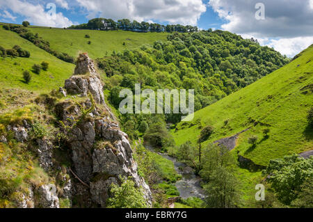 Kalksteinfelsen und Klippen bei Wolfscote Dale im Peak District, Derbyshire. Malerische Szenerie mit Sommer grün. Stockfoto