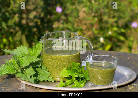 Green Smoothie gemacht von Brennnessel und Löwenzahn Stockfoto