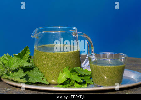 Green Smoothie gemacht von Brennnessel und Löwenzahn Stockfoto