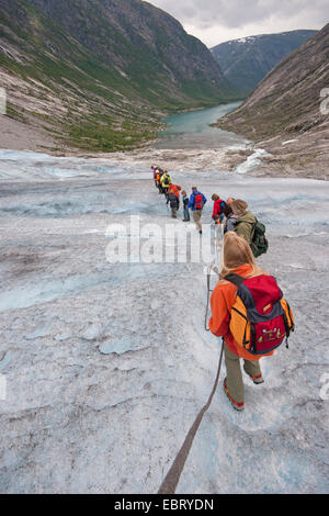 Gletscher Nigardsbreen, einem Gletscher Arm des Jostedalsbreen Gletscher, Norwegen, Jostedalsbreen Nationalpark unterwegs Stockfoto