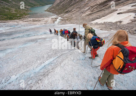 Gletscher Nigardsbreen, einem Gletscher Arm des Jostedalsbreen Gletscher, Norwegen, Jostedalsbreen Nationalpark unterwegs Stockfoto