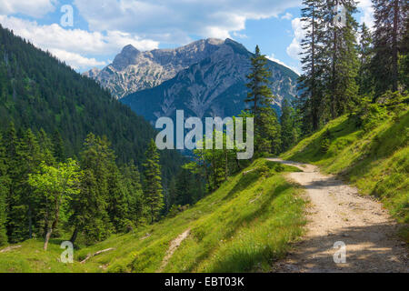 Wanderweg zum Geierkoepfe und Kreuzjoch an der Ammer Gebirge, Deutschland, Bayern, Oberbayern, Oberbayern Stockfoto