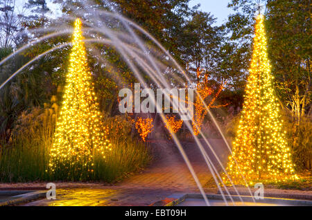 Wunderschön eingerichtete Weihnachtsbeleuchtung und Brunnen für die Ferienzeit. Stockfoto