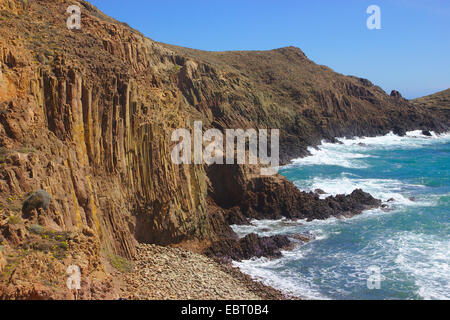 felsige Küste mit Andesit-Lava, Lava Spalten, Cabo de Gata, Spanien, Andalusien, Nationalpark Cabo De Gata Stockfoto