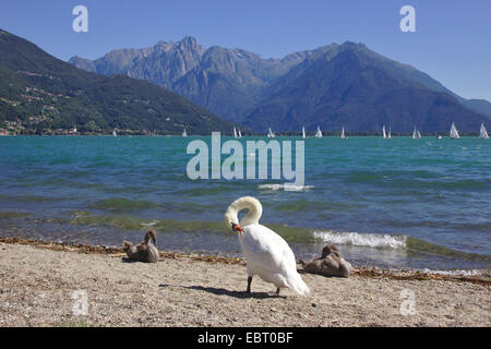 Comer See in der Nähe von Domaso mit Pizzo Ligoncio in den Hintergrund, Italien, Comersee Stockfoto