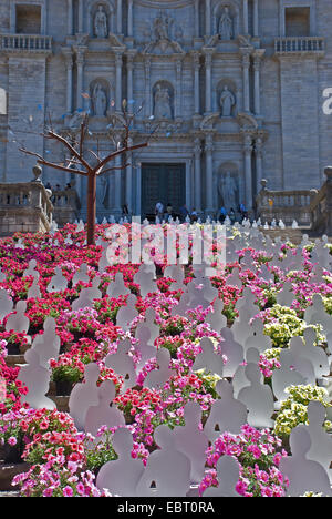 Blumenfest in Girona Spanien mit Blumenarrangements, die bis zur Kathedrale führen Stockfoto