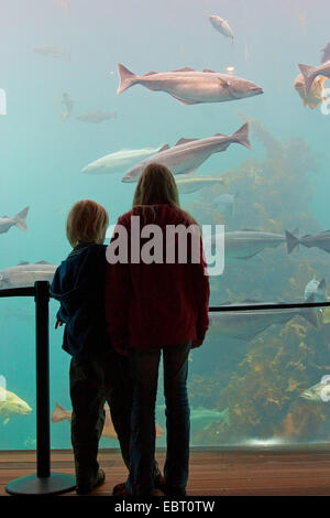 zwei Kinder Blick durch Fenster in einem riesigen Meerwasseraquarium Stockfoto