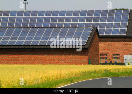 Sonnenkollektoren auf dem Dach eines Bauernhauses Stockfoto