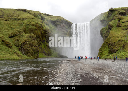 Skógafoss ist ein Wasserfall befindet sich am Fluss Skógá im Süden von Island an den Klippen der ehemaligen Küstenlinie. Stockfoto