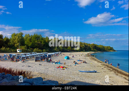 Strandkörbe an der Ostsee Küste Weisse Wiek, Deutschland, Mecklenburg-Vorpommern, Nordwestmecklenburg, Boltenhagen Tarnewitz Stockfoto