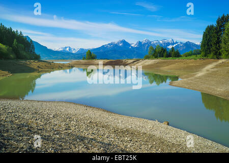 Ammergauer Alpen im Hintergrund, Deutschland, Bayern, Oberbayern, Oberbayern, Ostallgaeu, See Forggensee und Tannheimer Berge Stockfoto