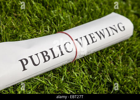 Public-Viewing-Zeitung auf Wiese Stockfoto