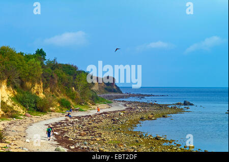 Steilküste an der Ostsee in der Nähe von Boltenhagen, Deutschland, Mecklenburg-Vorpommern, Redewisch Stockfoto