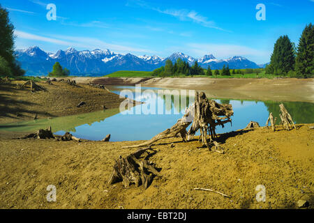 See Forggensee und Tannheimer Berge, Deutschland, Bayern, Oberbayern, Oberbayern, Ostallgaeu Stockfoto