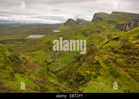 Quiraing, Trotternish, Großbritannien, Schottland, Isle Of Skye Stockfoto