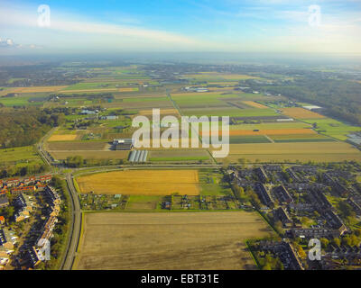 Luftbild, typisch niederländischen Kulturlandschaft, Niederlande, Südholland, Noordwijk Stockfoto