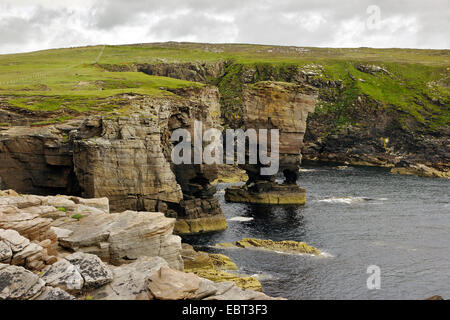 felsige Küste und Meer Yesnaby stapeln, Großbritannien, Schottland, Orkney, Orkney Festland Stockfoto