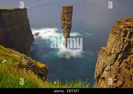 North Gaulton Castle Meer Stack, Großbritannien, Schottland, Orkney, Orkney Festland Stockfoto