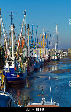 Krabbenkutter im Hafen bei Ebbe, Deutschland, Niedersachsen, Dorum Neufeld Stockfoto