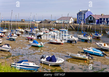 Boote im Hafen bei Ebbe-Gezeiten, Vereinigtes Königreich, Wales, Aberaeron Stockfoto