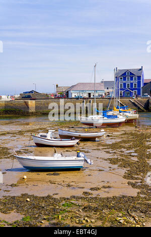 Boote im Hafen bei Ebbe-Gezeiten, Vereinigtes Königreich, Wales, Aberaeron Stockfoto