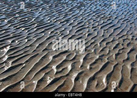 Wattenmeer bei Ebbe, Deutschland, Schleswig-Holstein-Nationalpark Wattenmeer Stockfoto
