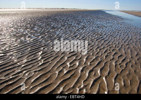 Wattenmeer bei Ebbe, Deutschland, Schleswig-Holstein-Nationalpark Wattenmeer Stockfoto